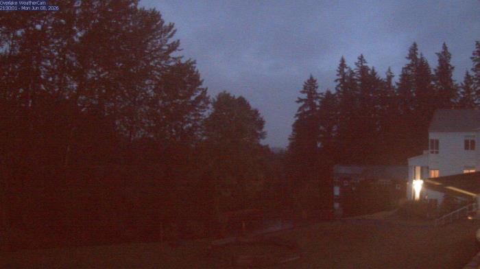 Live Camera from a random camera within the United States