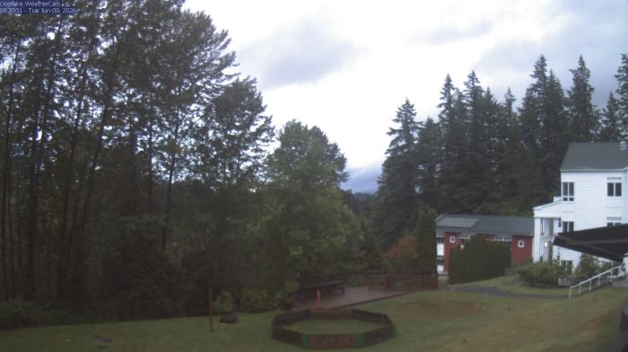 Live Camera from a random camera within the United States
