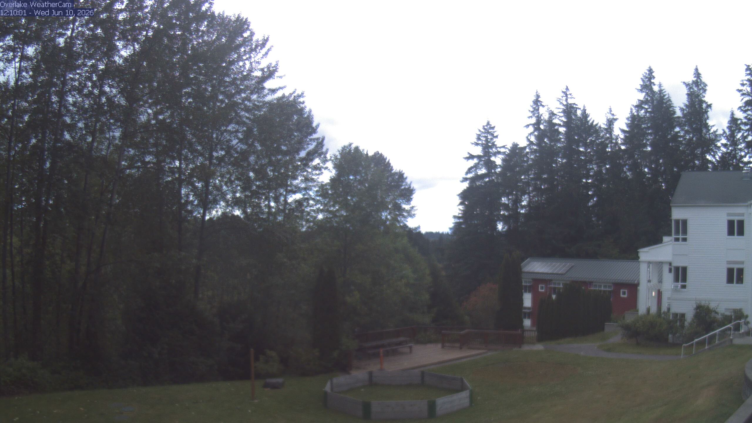 Live Camera from Overlake School, Redmond, WA 98053