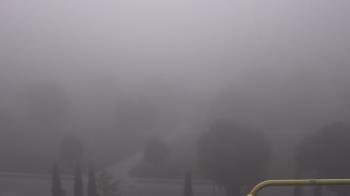 Live Camera from a random camera within the United States