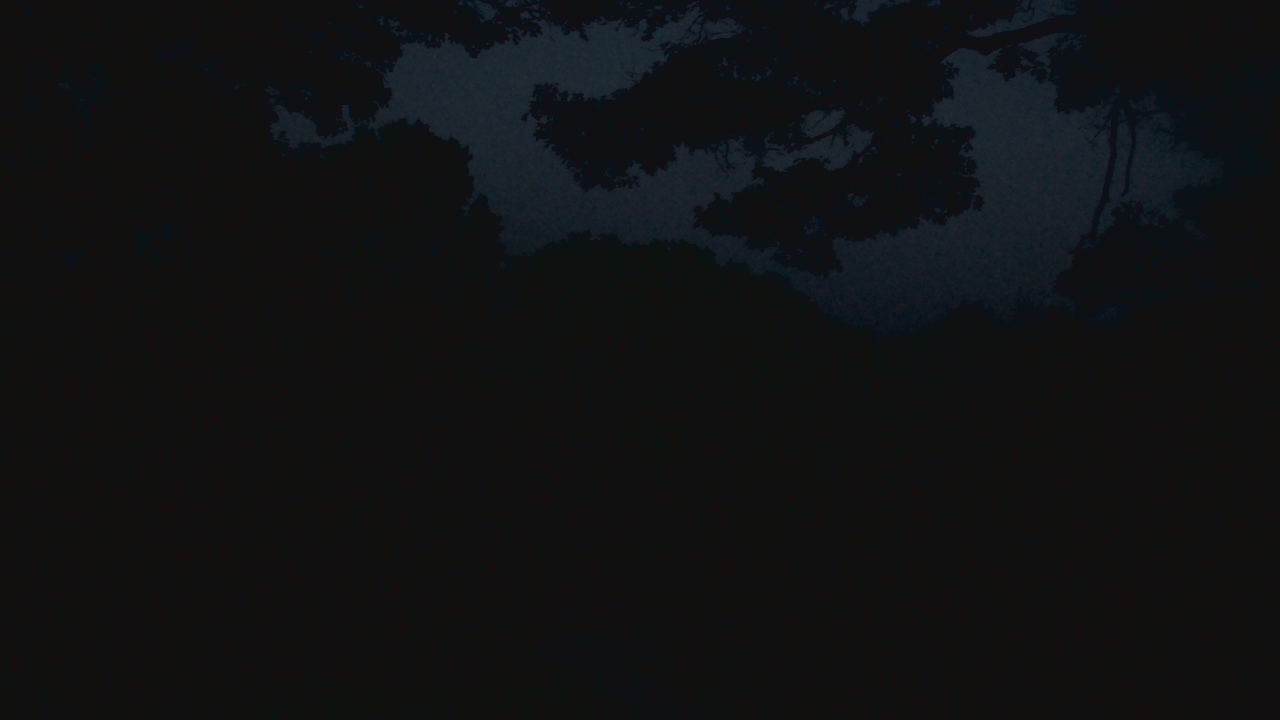 Live Camera from Sky Valley Lodge, Swanton, MD 21561