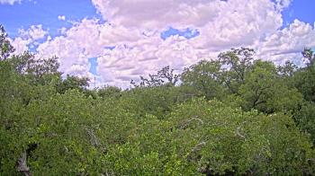 Live Camera from Metairie Club Gardens, Metairie, LA 70005