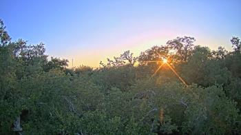 Live Camera from a random camera within the United States