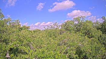Live Camera from a random camera within the United States
