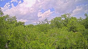 Live Camera from a random camera within the United States