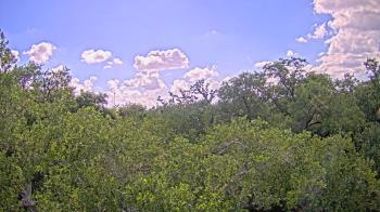 Live Camera from Metairie Club Gardens, Metairie, LA