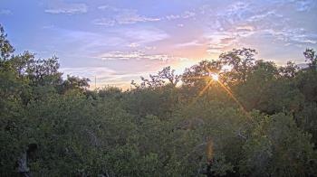 Live Camera from Metairie Club Gardens, Metairie, LA