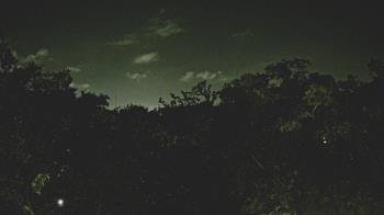 Live Camera from a random camera within the United States