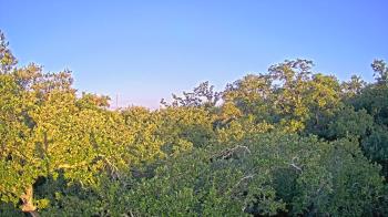 Live Camera from a random camera within the United States