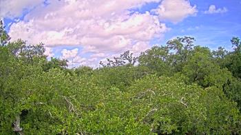 Live Camera from a random camera within the United States