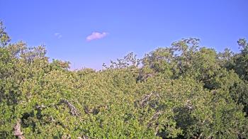 Live Camera from a random camera within the United States