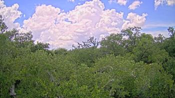Live Camera from a random camera within the United States