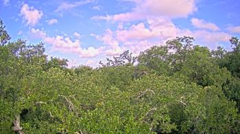 Live Camera from a random camera within the United States
