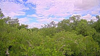 Live Camera from a random camera within the United States