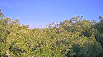 Live Camera from a random camera within the United States
