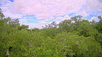 Live Camera from a random camera within the United States