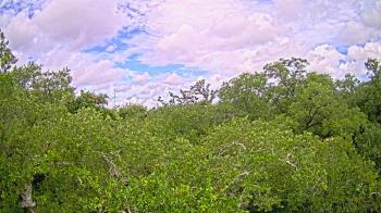 Live Camera from a random camera within the United States
