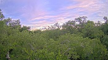 Metairie Club Gardens
