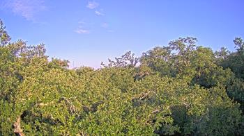 Live Camera from a random camera within the United States