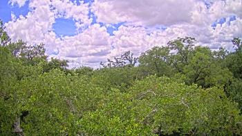 Live Camera from a random camera within the United States
