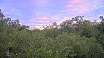 Live Camera from a random camera within the United States