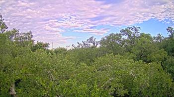 Live Camera from a random camera within the United States