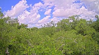 Live Camera from a random camera within the United States