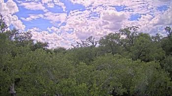 Live Camera from a random camera within the United States