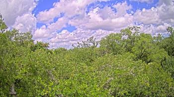 Live Camera from a random camera within the United States