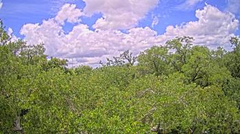 Live Camera from a random camera within the United States