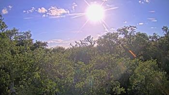 Live Camera from a random camera within the United States