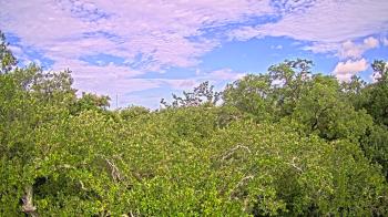 Live Camera from a random camera within the United States