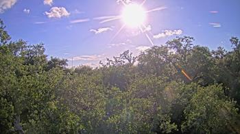 Live Camera from a random camera within the United States