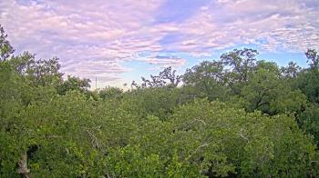 Live Camera from a random camera within the United States