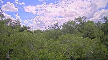 Live Camera from a random camera within the United States