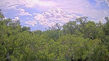 Live Camera from a random camera within the United States