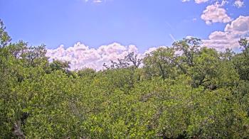 Live Camera from a random camera within the United States