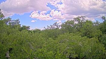 Live Camera from a random camera within the United States