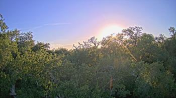 Live Camera from a random camera within the United States