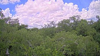 Live Camera from a random camera within the United States