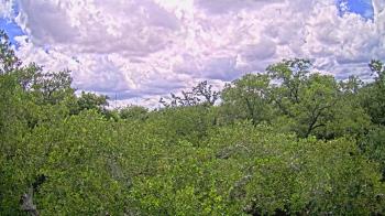 Live Camera from a random camera within the United States