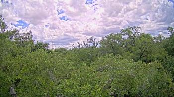 Live Camera from a random camera within the United States