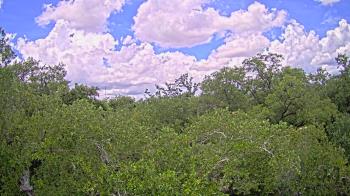 Live Camera from a random camera within the United States