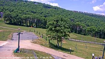 Live Camera from a random camera within the United States